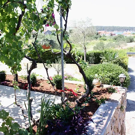 Penzion Triple Barbat 5070e