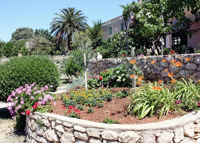 Triple Barbat 5070e 2* Barbat na Rabu