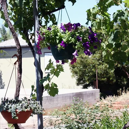 Triple Barbat 5070e 2* Barbat na Rabu