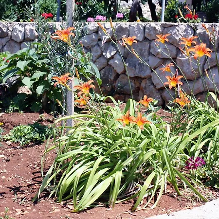 Triple Barbat 5070e 2*