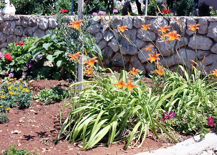 Triple Barbat 5070e 2*