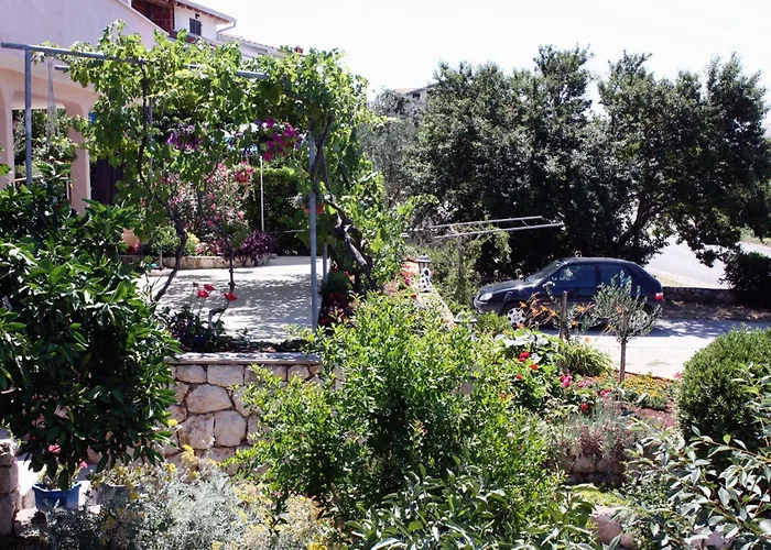 בית הארחה Triple Barbat 5070e 2*